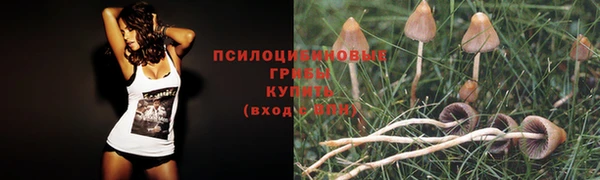 прущий лед Нязепетровск
