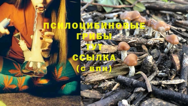 mdpv Нягань