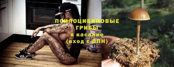 mdpv Нягань