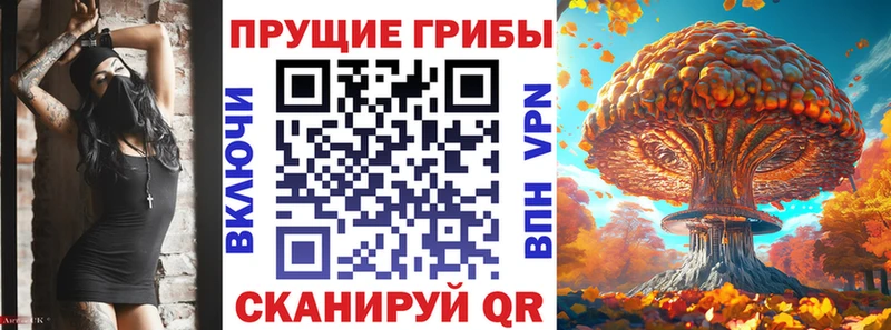 Галлюциногенные грибы Cubensis  сколько стоит  Берёзовский 
